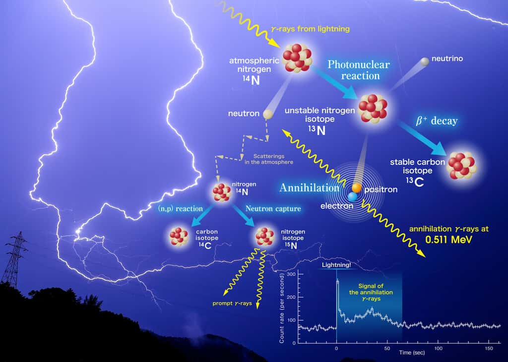 Schéma des différentes réactions nucléaires induites par les électrons accélérés dans les orages. © Teruaki Enoto, université de Kyoto