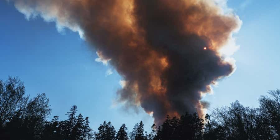 La fumée des incendies mise en cause dans le risque de démence. © Shauni, Getty Images