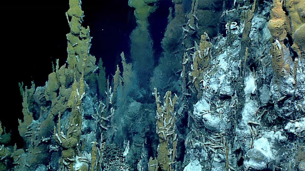 Les cheminées hydrothermales, ou fumeurs noirs, sont étudiées par les scientifiques qui mesurent notamment la température, la conductivité et la profondeur de l'eau aux alentours. © <em>NOAA Ocean Exploration, 2016 Deepwater Exploration of the Marianas</em>