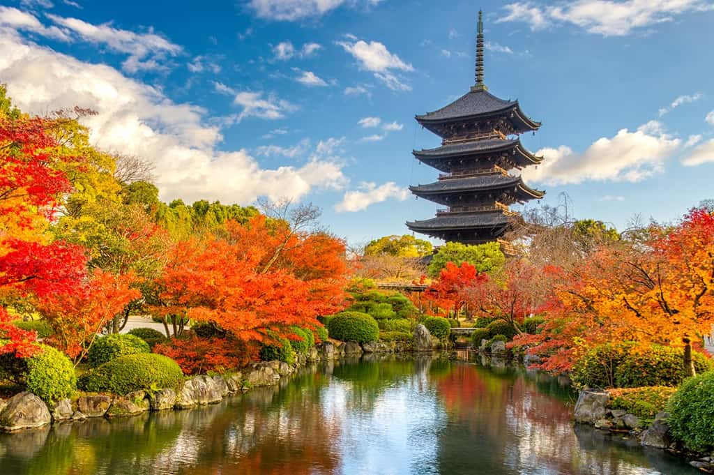 L'automne au Japon offre de splendides panoramas. ©Kovacs, Adobe. 