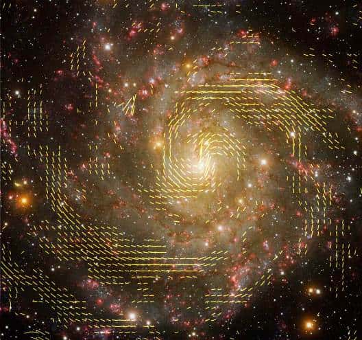 Image radio et optique combinée de la galaxie IC 342, utilisant les données des radiotélescopes VLA et Effelsberg. Les lignes indiquent l'orientation des champs magnétiques dans la galaxie.© R. Beck, MPIfR; NRAO/AUI/NSF; graphiques: U. Klein, AIfA; image de fond: T.A. Rector, <em>University of Alaska</em>, Anchorage et H. Schweiker, WIYN; NOAO/AURA/NSF