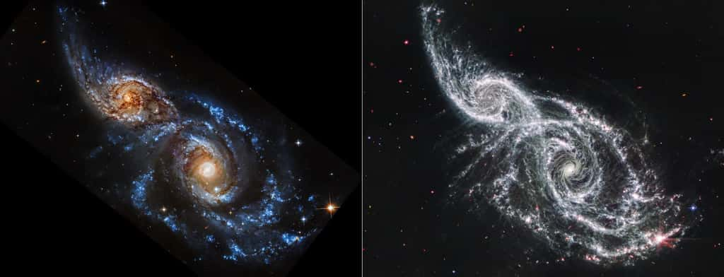 Voici deux vues de la même scène, chacune montrant deux galaxies spirales superposées, IC 2163 à gauche, et NGC 2207 à droite. L'observation en lumière ultraviolette et visible du télescope spatial Hubble est à gauche, et l'observation en lumière infrarouge moyenne du télescope spatial James-Webb est à droite. Dans l'image de Hubble, les bras spiraux remplis d'étoiles brillent en bleu vif, et les noyaux des galaxies en orange. Les deux galaxies sont couvertes de bandes de poussière marron foncé, ce qui obscurcit la vue du noyau d'IC ​​2163 à gauche. Dans l'image de Webb, la poussière froide occupe le devant de la scène, projetant les bras des galaxies en blanc. Les zones dans lesquelles les étoiles sont encore profondément enfouies dans la poussière apparaissent en rose. D'autres régions roses peuvent être des objets qui se trouvent bien derrière ces galaxies, y compris des trous noirs supermassifs actifs appelés quasars. Tournez votre œil vers le coin inférieur droit de l'image de Webb. La région rose la plus grande et la plus brillante, qui scintille avec huit pics de diffraction proéminents, est une mini-explosion stellaire, un endroit où de nombreuses étoiles se forment en succession rapide. La même région dans l'image de Hubble apparaît comme un amas d'étoiles bleu vif. Les trous en forme de dentelle dans les bras spiraux blancs des images de Webb se trouvent souvent là où des supernovae ont explosé il y a longtemps. Dans les mêmes régions, Hubble montre que ces zones sont désormais peuplées d'étoiles plus récentes. Les zones noires en haut à droite et en bas à gauche de l'image de Hubble ne contiennent aucune donnée. © Nasa, ESA, CSA, STScI