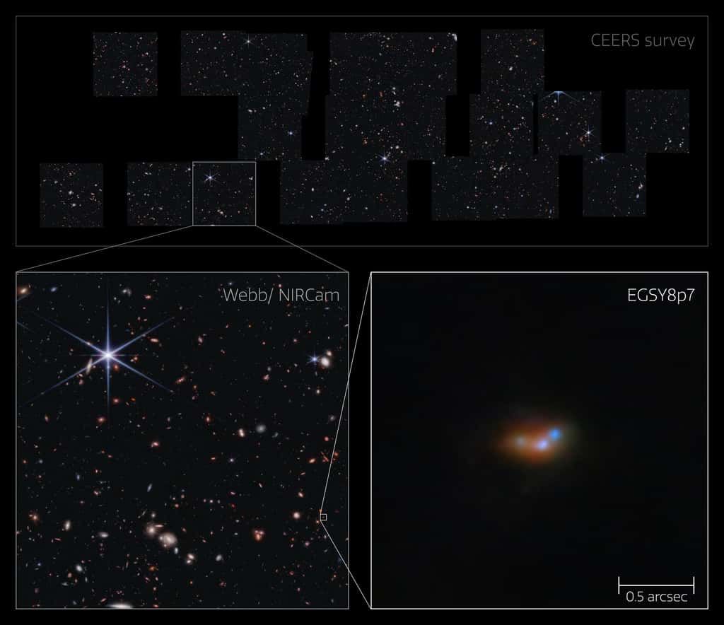 L'image du haut, intitulée « <em>Enquête CEERS</em> », montre de nombreuses images carrées d'étoiles et de galaxies, assemblées en fonction de leur emplacement dans le ciel. Un carré est mis en surbrillance et une découpe en bas à gauche le montre agrandi, intitulé « <em>Webb/NIRCam</em> ». Un petit point est affiché en zoom avant vers la droite, étiqueté « EGSY8p7 » avec un marqueur d'échelle de « 0,5 arcsec ». On peut voir que la tache est constituée de trois galaxies voisines, apparaissant comme des taches colorées avec des noyaux brillants et distincts. Cette image montre la galaxie EGSY8p7, une galaxie brillante de l'Univers primitif où l'émission de lumière provient, entre autres choses, d'atomes d'hydrogène excités (émission Lyman-α). La galaxie a été identifiée dans un champ de jeunes galaxies étudié par Webb dans le cadre de l'enquête CEERS. Dans les deux panneaux du bas, la haute sensibilité de Webb révèle cette galaxie lointaine ainsi que ses deux galaxies compagnes, là où les observations précédentes n’avaient vu qu’une seule galaxie plus grande à sa place. © ESA/Webb, NASA & CSA, S. Finkelstein (UT Austin), M. Bagley (UT Austin), R. Larson (UT Austin), A. Pagan (STScI), C. Witten, M. Zamani (ESA/Webb)