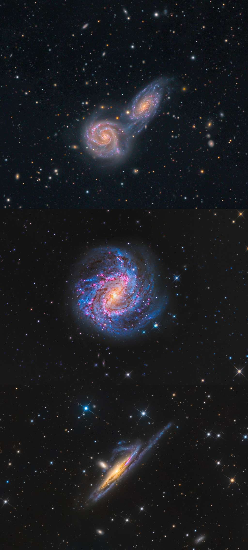 Ces trois images de la catégorie « galaxies » montrent de bas en haut les galaxies NGC 5426 and NGC 5427, la galaxie Pinwheel (aussi connue sous le nom de M101) et une paire de galaxies en interaction dans la constellation australe de l'Eridanus (NGC 1532).<br>Ces trois images ont respectivement été prises par Mark Hanson et Mike Selby (El Sauce Observatory, Río Hurtado, Coquimbo Region, Chilie), Peter Ward (Barden Ridge, New South Wales, Australie) et Terry Robison (Carrapooee, Victoria, Australie).