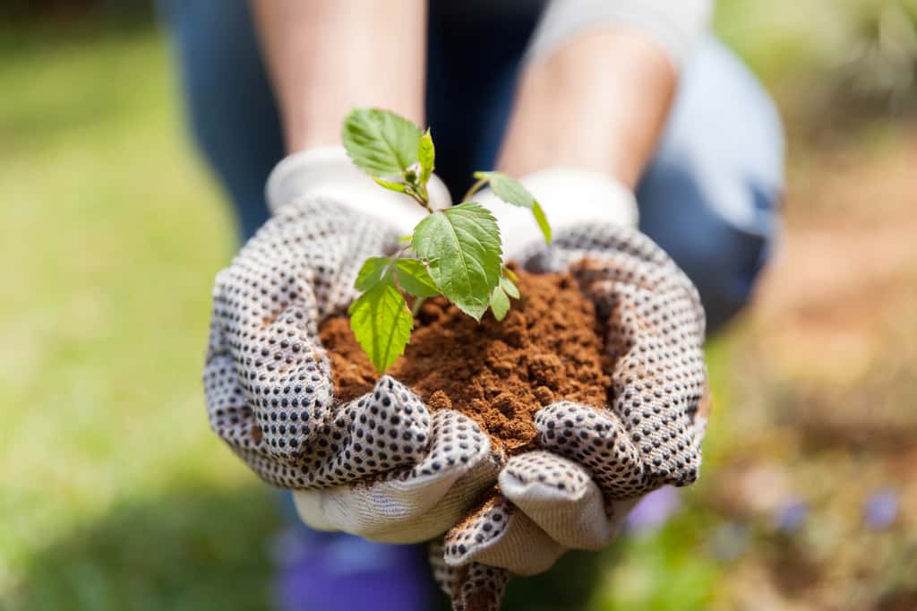 Les gants vous seront indispensables pour toutes les menues tâches du jardin, vous évitant rougeurs, blessures et sécheresse. © michaeljung, Adobe Stock