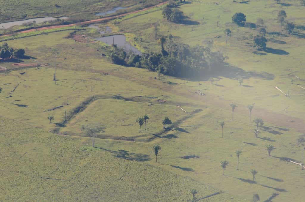 Plus de 450 géoglyphes comme celui-ci ont été découverts dans l’ouest du Brésil. La déforestation les a mis à nu. De récentes recherches ont montré que dans ces endroits, avant que ne s’étendait la forêt amazonienne aujourd’hui détruite, des cultures de palmiers avaient remplacé des forêts de bambous… © Diego Gurgel