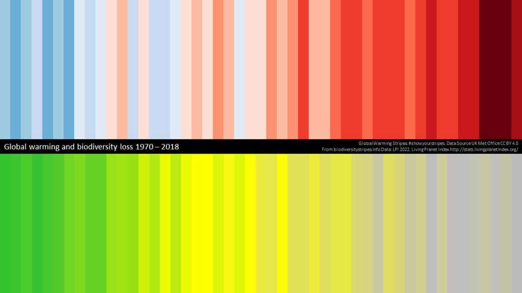 L'évolution du réchauffement climatique pour les bandes du haut (<em>warming stripes</em>) et la perte de la biodiversité en bas, entre 1970 et 2018. © Miles Richardson (findingnature.org.uk)
