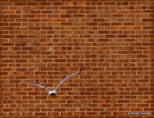 Le contremur assure la solidité d'un premier mur. © , CC-BY-NC-ND 2.0, Flickr