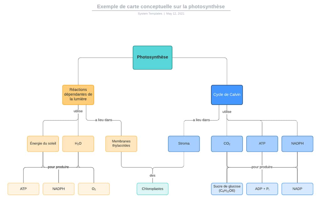Exemple de carte conceptuelle sur la photosynthèse en UML réalisé avec Lucidchart. © Lucidchart