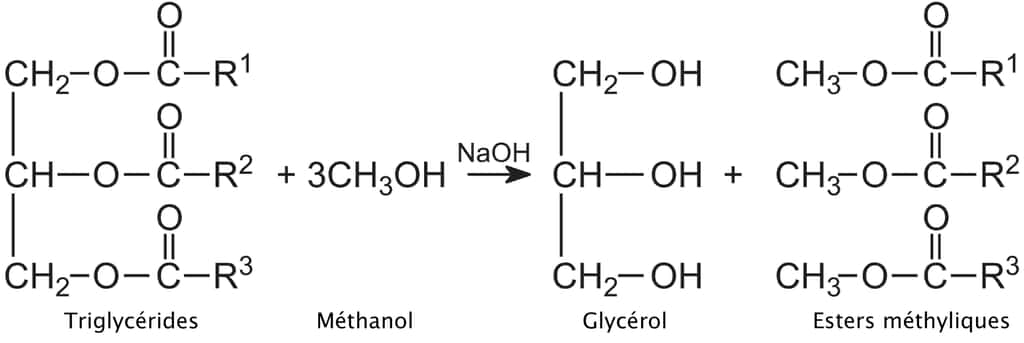 Le glycérol s’obtient par l’estérification des acides gras des huiles végétales. © DR