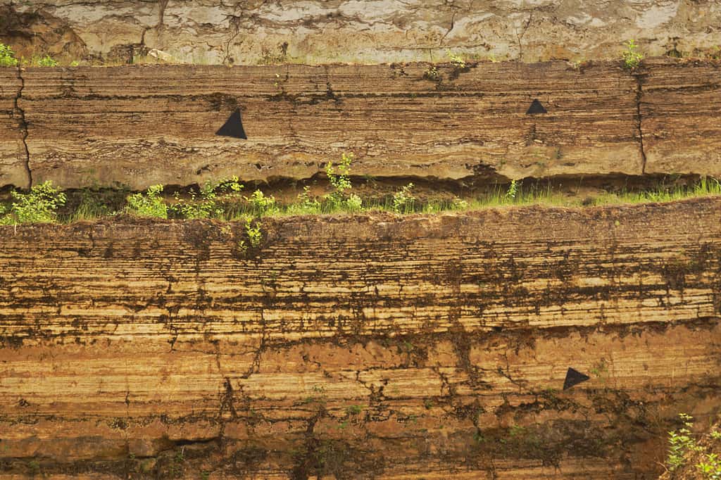 Le travertin se forme au niveau des sources calcaires par encroûtement des plantes aquatiques et riveraines. © Ustill, Wikipedia