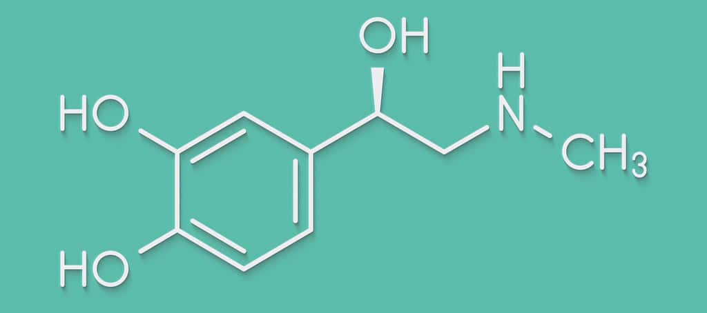 L’adrénaline ou épinéphrine est le (R)-4-(1-hydroxy-2-(méthylamino)éthyl) benzène-1,2-diol, de formule brute C9H11NO3. © molekuul.be, Fotolia