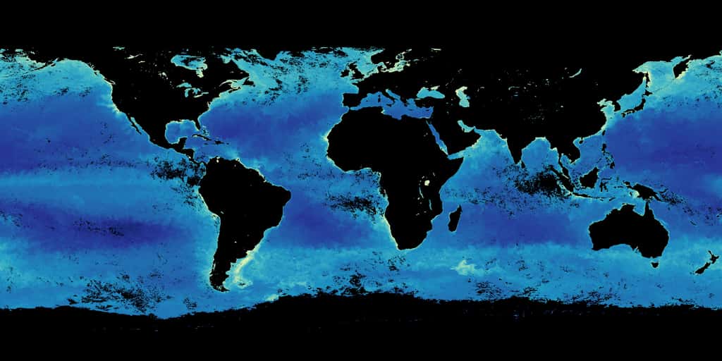 Cette carte montre la concentration en chlorophylle de l’eau, signalant la présence en phytoplancton. Cette répartition varie fortement en fonction des saisons (ici, en octobre 2019) © Nasa, Modis Aqua