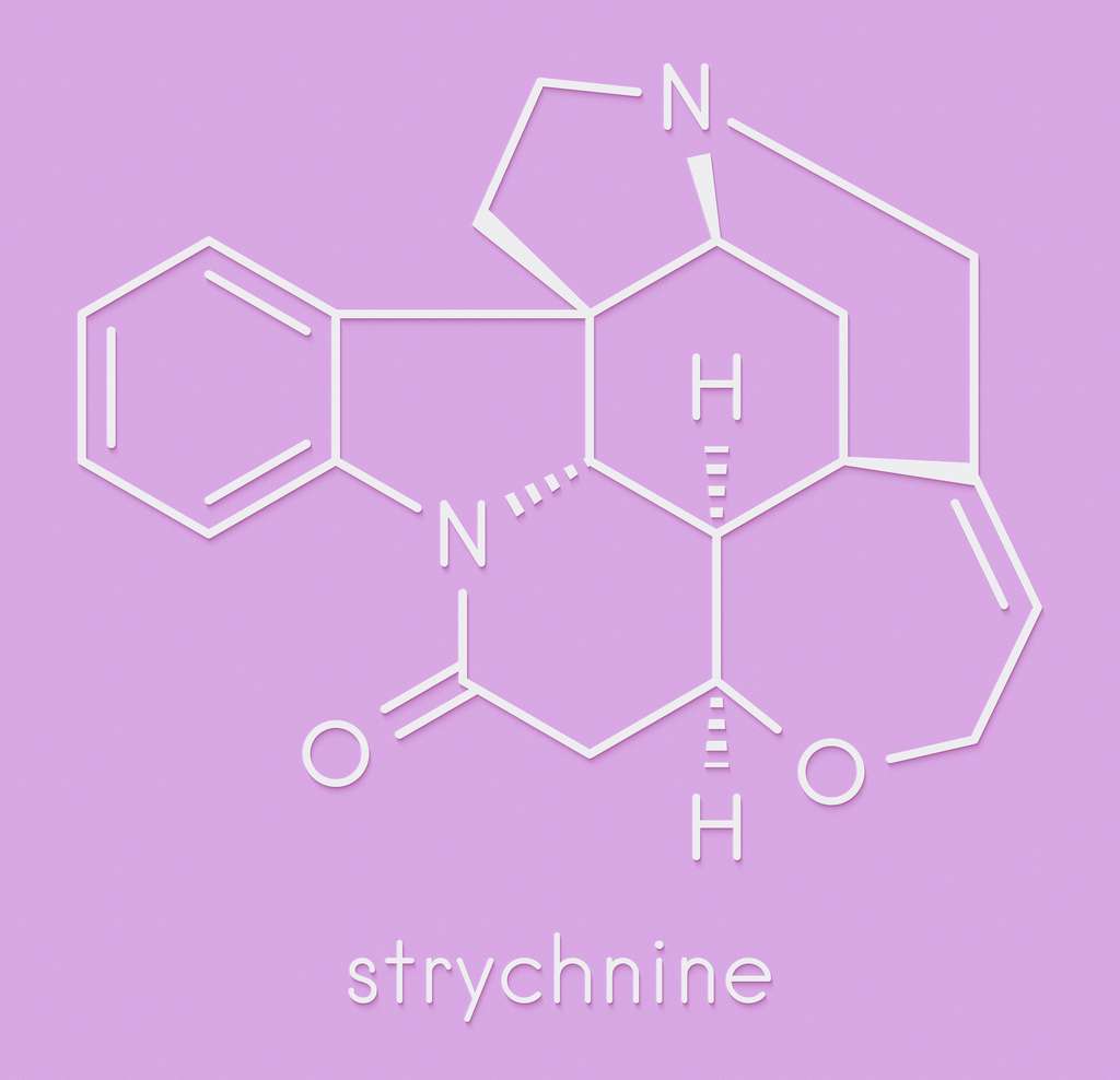 La strychnine est un alcaloïde indolique de formule C<sub>21</sub>H<sub>22</sub>N<sub>2</sub>O<sub>2</sub>. © molekuul.be, Adobe Stock