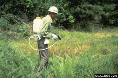 L’agriculteur pulvérise un herbicide, un produit phytotoxique, sur son champ. © USDA Forest ServiceRegion 8 Archive, www.bugwood.org, CC by 3.0