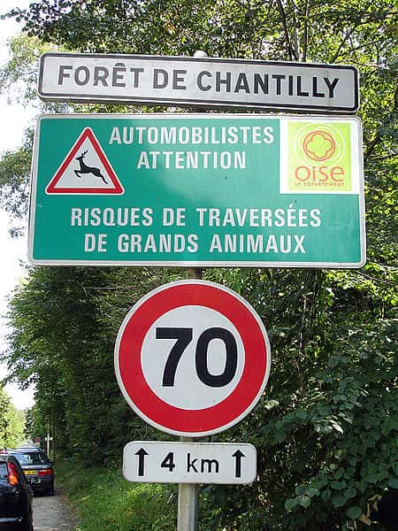 Un exemple de réduction du roadkill basée sur la prévention et la réduction de la vitesse autorisée sur une portion de route identifiée comme un lieu de passage de la grande faune. © Clicsouris, Wikimedia CC by-sa 3.0