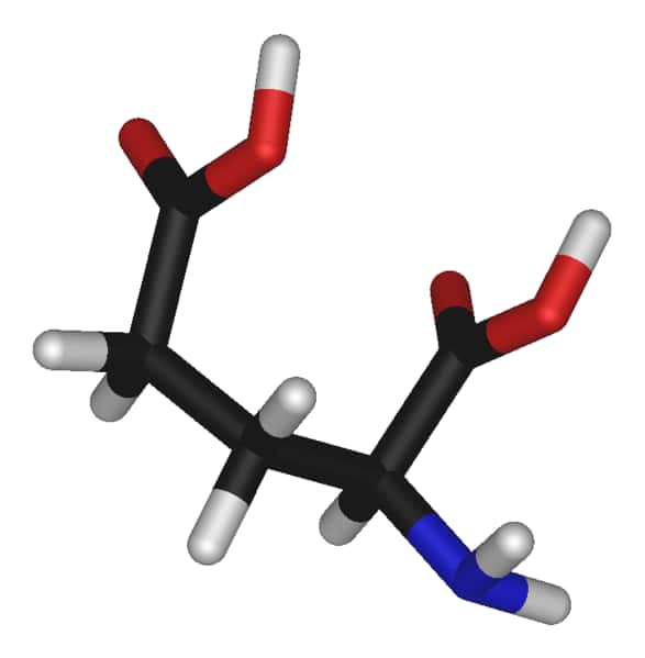 L'acide glutamique est un acide aminé, mais aussi un neuromédiateur important (carbone en noir, oxygène en rouge, azote en bleu et hydrogène en blanc). © Photohound, domaine public