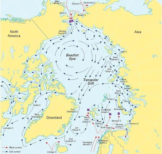 La gyre de Beaufort s'observe en Arctique (Beaufort Gyre en anglais). Le terme « gyre » fait référence à un tourbillon d'eau observable à l'échelle d'un bassin océanique complet. © NSIDC