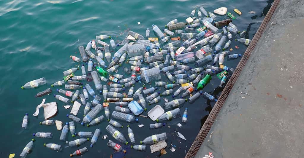 En 2019, une étude du WWF rapporte qu’un tiers des déchets plastiques produits dans le monde chaque année se retrouve abandonné dans la nature. © MonicaVolpin, Pixabay, CC0 Creative Commons