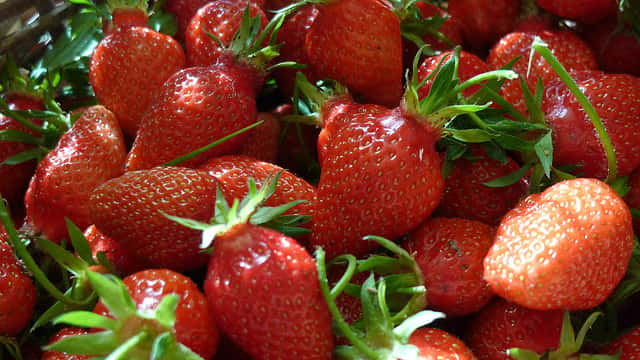 La Gariguette est une variété de fraises d'origine française. © Philippe de France, Flickr, CC by-nc-sa 2.0