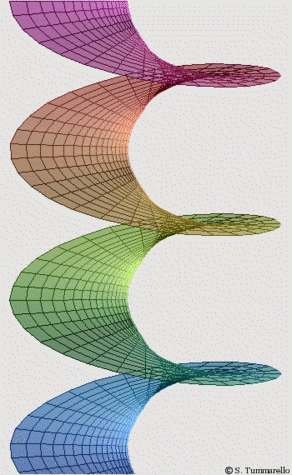 La surface de Riemann associée au logarithme complexe : c'est un revêtement du plan à une infinité de feuillets, admettant un point de ramification à l'origine.