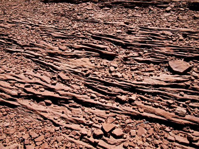 Structure lamellaire. © Seldom Scene Photography, Flickr CC by 2.0