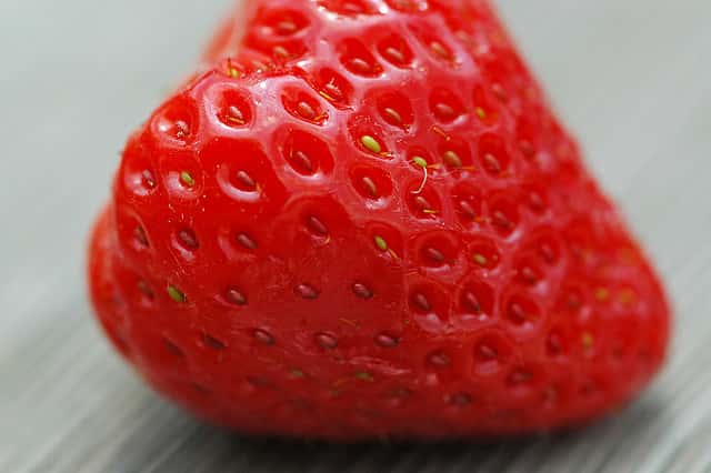 La mara des bois est une variété de fraise dont le goût est proche de celui des fraises des bois. © Guillaume Brialon, Flickr, CC by-nc-sa 2.0