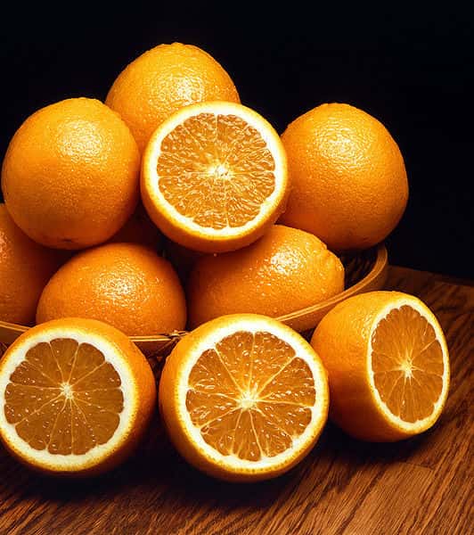 Il est important de distinguer le <em>Citrus sinensis, </em>orange douce, du <em>Citrus aurantium, </em>orange amère, qui a des feuilles plus longues et un parfum plus puissant. © DR