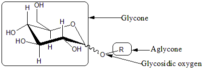 Structure d’un oside formé par la condensation d’un ose (glycone en anglais) et d’un alcool (R). Les deux molécules sont reliées par une liaison osidique (glycosidic oxygen) © Dineshts, Wikimedia domaine public