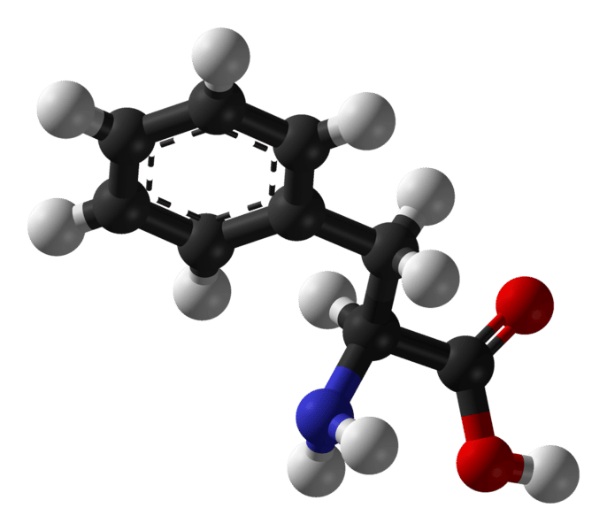 La phénylalanine est un acide aminé essentiel. © Benjah-bmm27, Wikimedia, domaine public