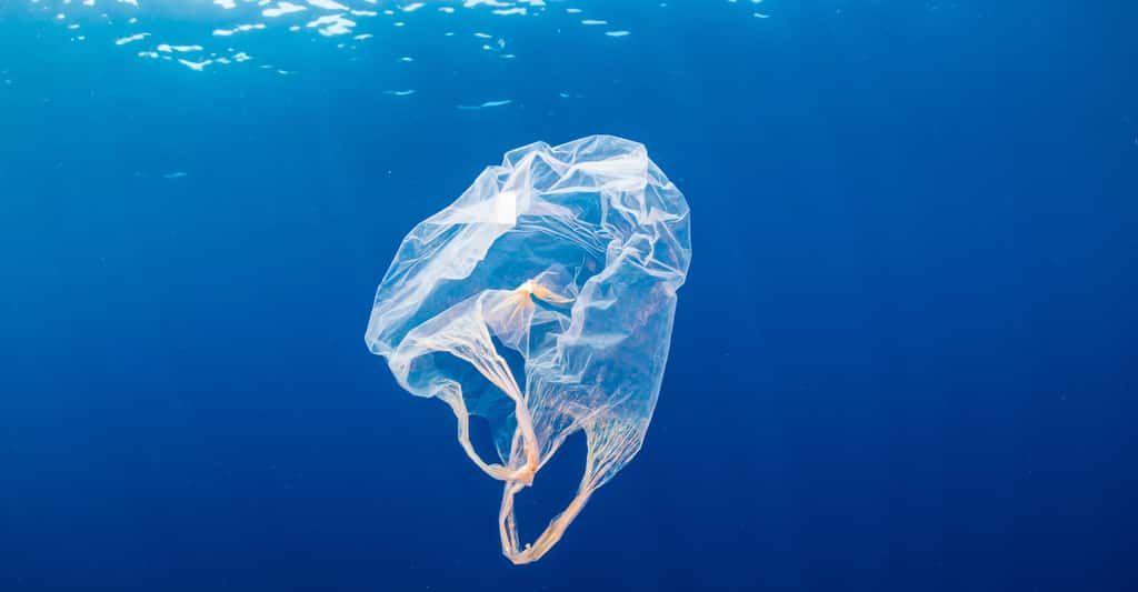 Le terme matière plastique s’applique à une large gamme de polymères parmi lesquels le polyéthylène (PE), l’une des résines thermoplastiques les plus répandues dans le monde, dont sont faits les sacs plastiques. © whitcomberd, Fotolia