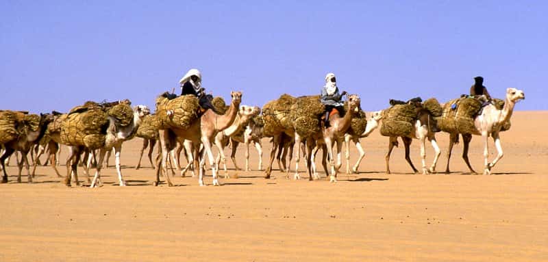 Taghlamt ralliant Agadez au départ de Bilma. © Holger Reineccius, Wikipédia, GNU 1.2
