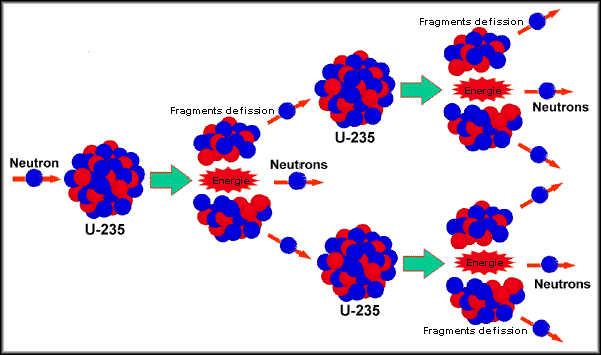 Le principe de la réaction en chaîne avec la fission d'un noyau d'uranium 235 absorbant un neutron. Le noyau fissionne en deux noyaux plus légers en donnant de deux à trois neutrons selon la nature des noyaux légers produits. © Université du Maine 