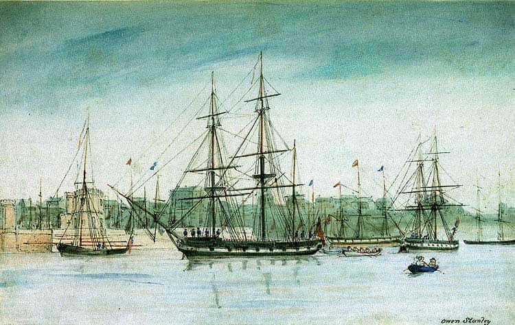 Darwin a fait le tour du monde à bord de l'<em>HMS Beagle</em> (au centre) entre 1831 et 1836. © DP