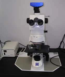 Un microscope à contraste de phase. © polymtl.ca