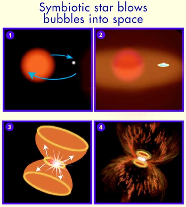 Schémas montrant l'activité d'une étoile symbiotique comme <a href="http://www.eso.org/public/news/eso8901/" title="The " target="_blank">Hen2-104</a>. © Nasa