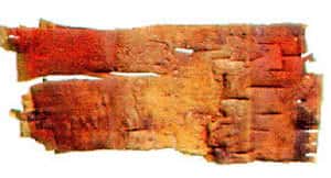 Écorce de cinabre. Un morceau d'écorce de bouleau découvert à Nadlok et teinté de cinabre. Nadlok : lieu concernant les Inuit du cuivre au Canada. © DR