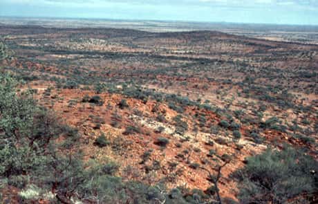 Jack Hills red metasandstones Australia, les roches contenant les plus vieux zircons. © DR