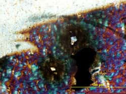 Zircon dans biotite, LP, gros plan. Le cristal est inclus dans une biotite appartenant à un granite et l'auréole foncée autour du petit cristal de zircon (blanc sur la photo) indique les dommages subis par la biotite lors de la désintégration des éléments radioactifs contenus dans le cristal de zircon. Ce cliché est pris en lumière polarisée. © DR