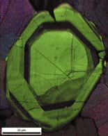 Zircon, dommages radiations. L'<em>Electron Backscatter Diffraction</em> (EBSD) est une technique très puissante de détermination des variations spatiales dans l'orientation cristallographique et permet une résolution à l'échelle micrométrique de la cristallinité d'un minéral. Cette technique est ici appliquée pour déterminer les dommages subis par le cristal de zircon à cause de radiations : l'ensemble du cristal présente la même orientation cristalline mais certaines zones, en effet, sont mal cristallisées à cause du rayonnement. © <em>Glasgow Earth Science Electron Microscopy</em>