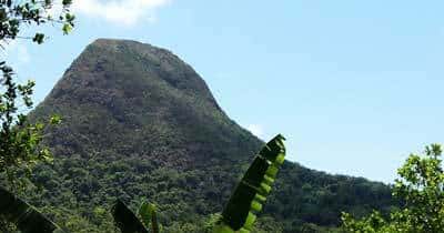 Les sols de la Réunion sont très riches en micropolluants. © DR