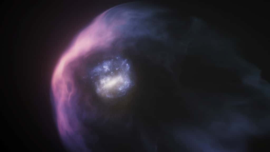 Cette vue d’artiste montre un gros plan du Grand Nuage de Magellan (LMC), une galaxie naine qui est l’une des plus proches voisines de la Voie lactée. Les scientifiques pensent que le LMC vient de terminer son approche la plus proche de la Voie lactée, beaucoup plus massive. Cette rencontre a balayé la majeure partie du halo sphérique de gaz qui entoure le LMC. Les ondes de choc violettes brillantes représentent le bord d’attaque du halo du LMC, qui est comprimé alors que le halo de la Voie lactée repousse le LMC entrant. La pression dépouille une grande partie du halo du LMC et le propulse vers l’arrière dans une queue de gaz en écoulement. La galaxie naine est enfermée dans son halo restant. Une image scientifique réelle du LMC est combinée à une représentation artistique du halo de la galaxie. © Nasa, ESA, R. Crawford (STScI)