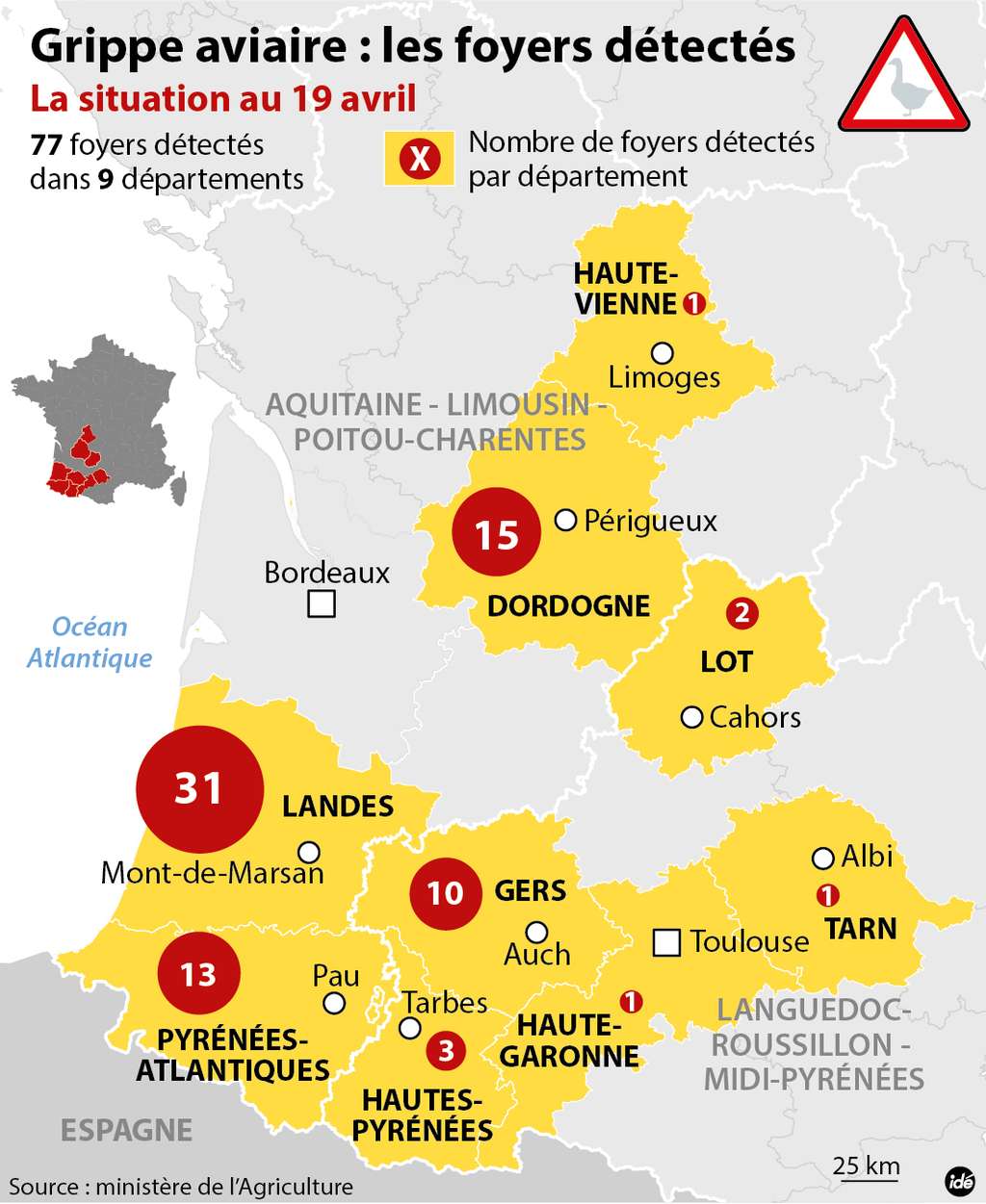 Au 19 avril 2016, il y avait 77 foyers de grippe aviaire détectés dans neuf départements du sud-ouest de la France. © Idé