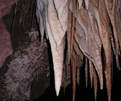 Les stalactites des cavernes Kartchner sont recouvertes par des écosystèmes complets et diversifiés composés de bactéries et d’archées, qui tirent leurs nutriments de l’eau de ruissellement. Elles participent également à la croissance des concrétions en précipitant de la calcite. © Bob Casavant, <em>Arizona State Park Service</em>