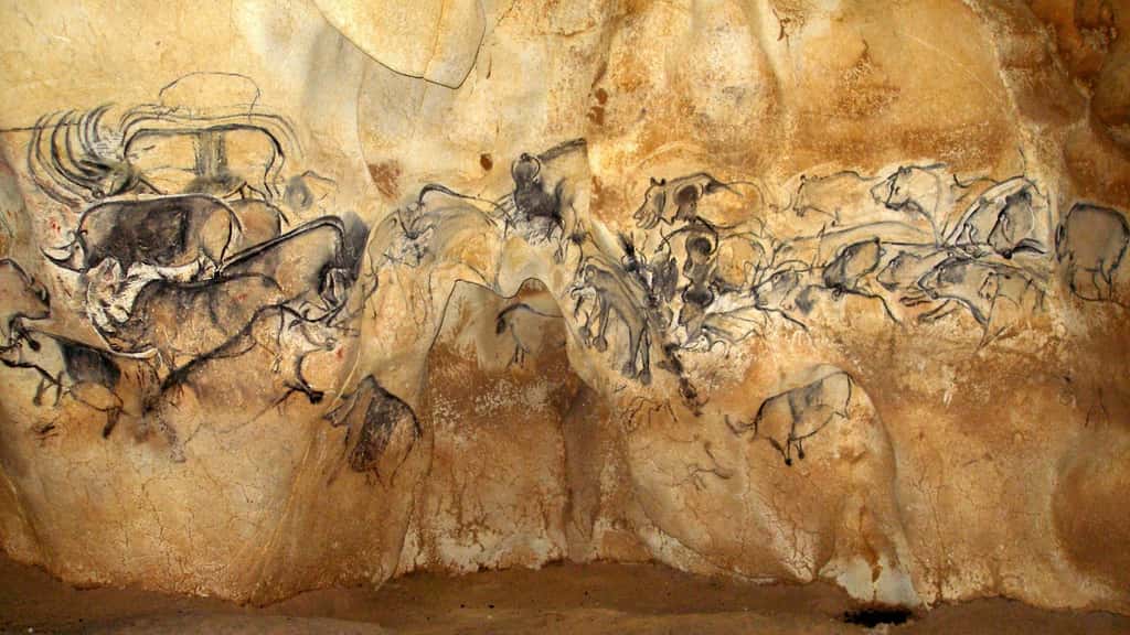 Depuis le 22 juin 2014, la <a href="http://www.cavernedupontdarc.fr/" title="Découvrez la caverne du Pont d&#039;Arc" target="_blank">caverne du pont d’Arc</a>, en Ardèche, est classée au Patrimoine mondial de l’Unesco. On voit ici une grande fresque de la salle du fond. Une scène de chasse ? À droite, plusieurs représentations de lions avec différentes attitudes (aux aguets ?) apportent du <a href="//www.futura-sciences.com/sciences/actualites/homme-video-art-rupestre-paleolithique-etait-il-aussi-cinema-44694/" title="En vidéo : l’art rupestre paléolithique était-il aussi du cinéma ?">dynamisme</a> à la scène. Idem à gauche, où l’artiste semble vouloir animer les rhinocéros. © Jean Clottes, grotte Chauvet-Pont d'Arc