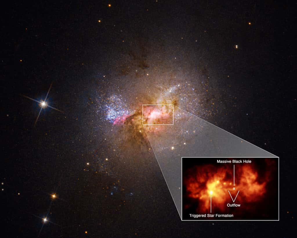Un zoom sur  la région centrale de la galaxie naine Henize 2-10 révèle un pont de gaz chaud de 230 années-lumière de long, reliant le trou noir supermassif de la galaxie et une région de formation d'étoiles. Les données de Hubble sur la vitesse du gaz propulsé par le trou noir, ainsi que l'âge des jeunes étoiles, indiquent une relation causale entre les deux. Il y a quelques millions d'années, l'écoulement de gaz chaud a percuté un nuage dense et s'est répandu, comme l'eau d'un tuyau heurtant un monticule de terre. Maintenant, des amas de jeunes étoiles sont alignés perpendiculairement à l'écoulement, révélant le chemin de sa propagation. © Nasa, ESA, Zachary Schutte (XGI), Amy Reines (XGI) Traitement d'image : Alyssa Pagan (STScI)
