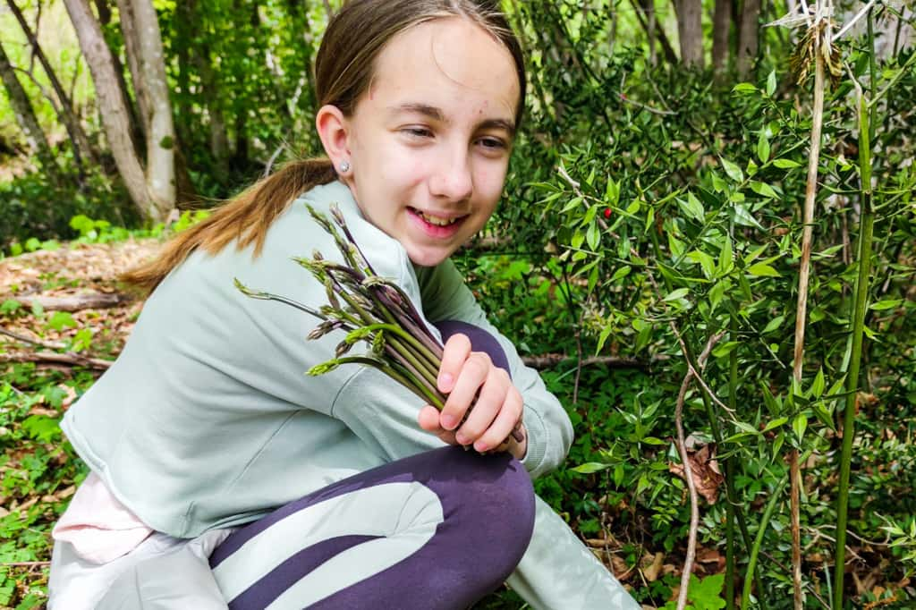 Ces plantes communes de nos forêts cachent un trésor insoupçonné. © HMVart, iStock