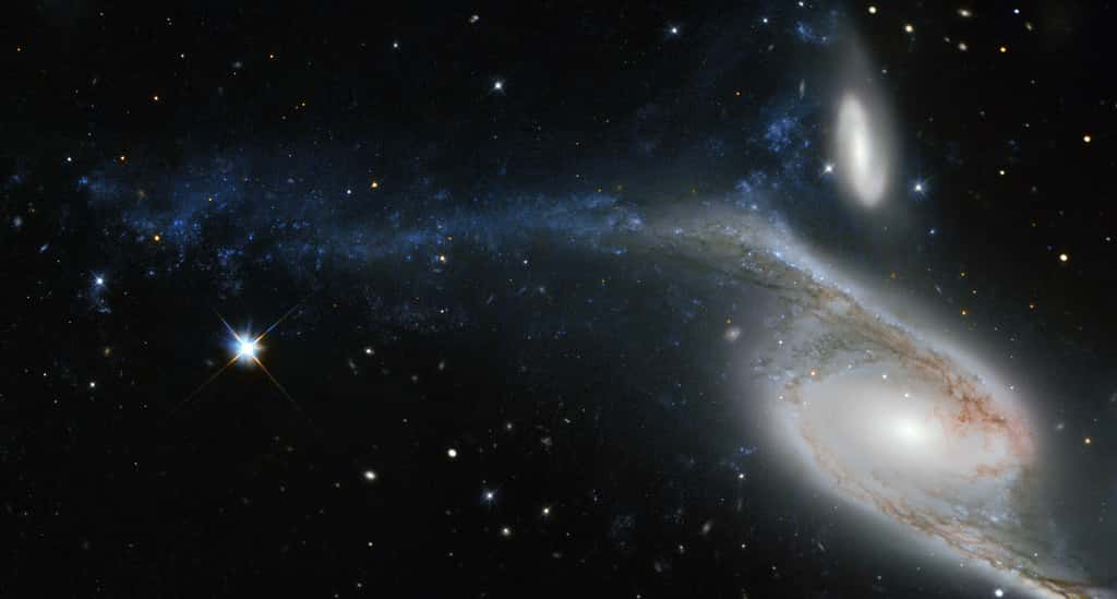 Cette photo, prise par le télescope spatial Hubble de la Nasa/ESA, montre une galaxie connue sous le nom de NGC 6872 dans la constellation du Paon. Sa forme inhabituelle est due à ses interactions avec la plus petite galaxie visible juste au-dessus de NGC 6872, appelée IC 4970. Elles se trouvent toutes deux à environ 300 millions d'années-lumière de la Terre. D’une pointe à l’autre, NGC 6872 mesure plus de 500 000 années-lumière de diamètre, ce qui en fait la deuxième plus grande galaxie spirale découverte à ce jour. Notre Galaxie, la Voie lactée, mesure entre 100 000 et 120 000 années-lumière de diamètre. Le bras spiral supérieur gauche de NGC 6872 est visiblement déformé et est peuplé de régions de formation d'étoiles, qui apparaissent en bleu sur cette image. Cela peut avoir été causé par le passage récent de l'IC 4970 dans ce bras – bien qu'ici, récent signifie il y a 130 millions d'années ! © ESA/Hubble & Nasa Judy Schmidt