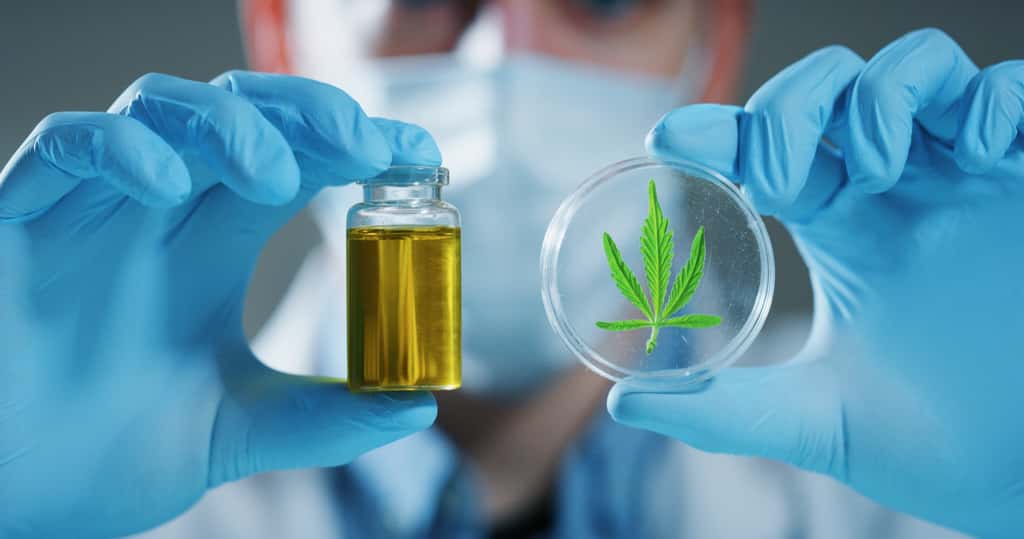Le cannabis thérapeutique peut être pris sous forme d'huile. © HQuality, Adobe Stock