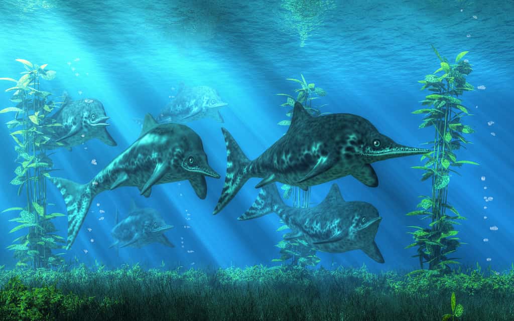 Ichtyosaures peuplant les océans du Crétacé. © Daniel Eskridge